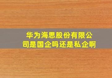 华为海思股份有限公司是国企吗还是私企啊