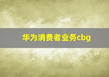 华为消费者业务cbg