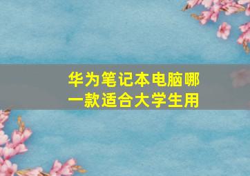 华为笔记本电脑哪一款适合大学生用