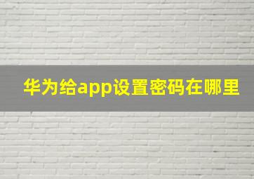 华为给app设置密码在哪里