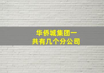 华侨城集团一共有几个分公司