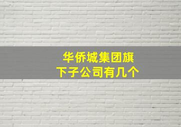 华侨城集团旗下子公司有几个