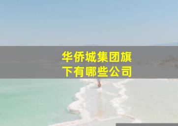 华侨城集团旗下有哪些公司