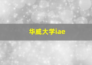 华威大学iae