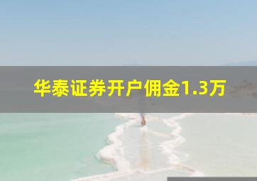 华泰证券开户佣金1.3万