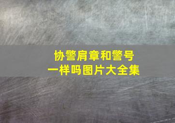 协警肩章和警号一样吗图片大全集