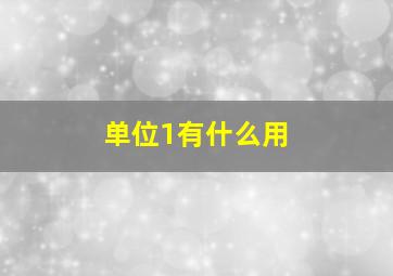 单位1有什么用