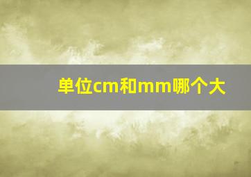 单位cm和mm哪个大