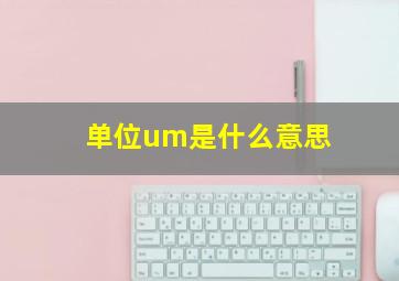 单位um是什么意思