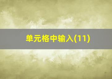 单元格中输入(11)