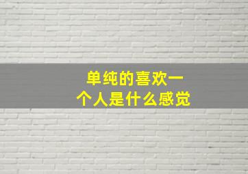 单纯的喜欢一个人是什么感觉