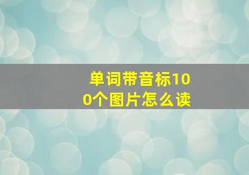 单词带音标100个图片怎么读