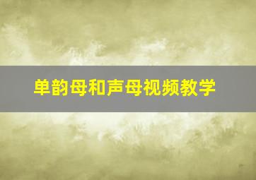 单韵母和声母视频教学