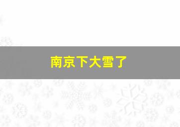 南京下大雪了