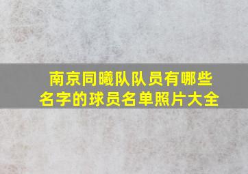 南京同曦队队员有哪些名字的球员名单照片大全