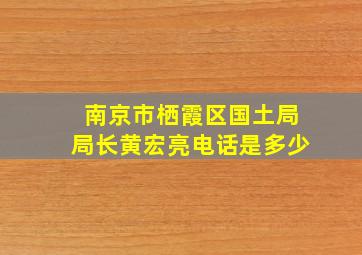 南京市栖霞区国土局局长黄宏亮电话是多少