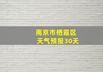 南京市栖霞区天气预报30天