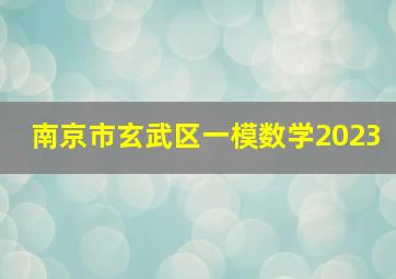 南京市玄武区一模数学2023