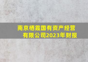 南京栖霞国有资产经营有限公司2023年财报