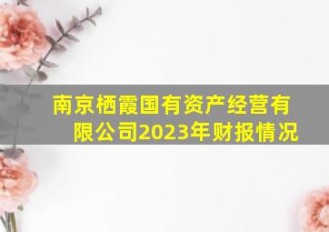 南京栖霞国有资产经营有限公司2023年财报情况