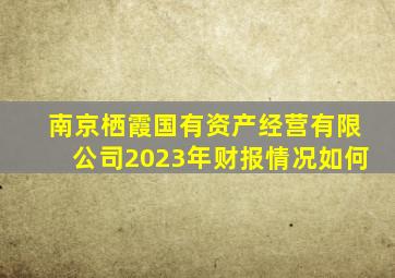 南京栖霞国有资产经营有限公司2023年财报情况如何