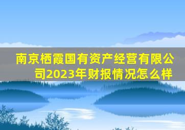 南京栖霞国有资产经营有限公司2023年财报情况怎么样