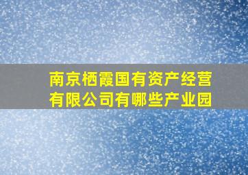 南京栖霞国有资产经营有限公司有哪些产业园