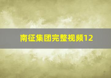 南征集团完整视频12