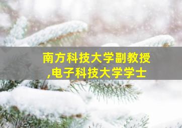 南方科技大学副教授,电子科技大学学士