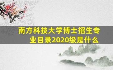 南方科技大学博士招生专业目录2020级是什么