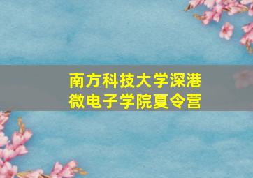 南方科技大学深港微电子学院夏令营