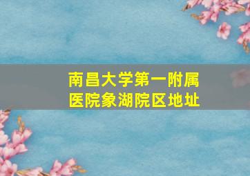 南昌大学第一附属医院象湖院区地址