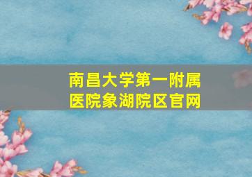 南昌大学第一附属医院象湖院区官网