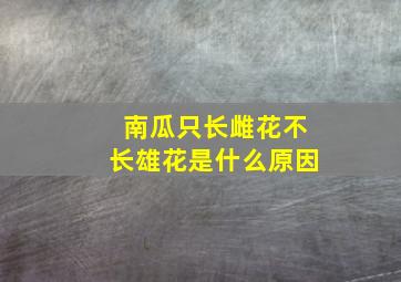 南瓜只长雌花不长雄花是什么原因