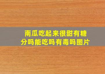 南瓜吃起来很甜有糖分吗能吃吗有毒吗图片