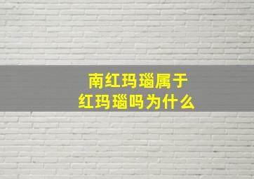 南红玛瑙属于红玛瑙吗为什么