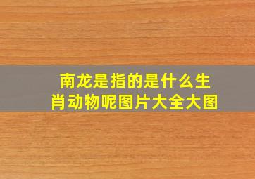 南龙是指的是什么生肖动物呢图片大全大图