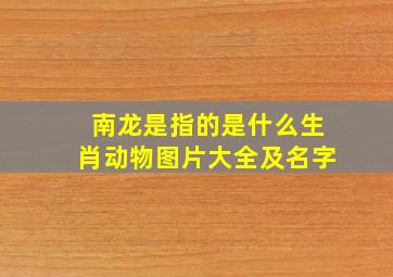 南龙是指的是什么生肖动物图片大全及名字