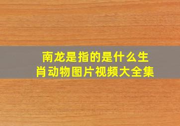 南龙是指的是什么生肖动物图片视频大全集