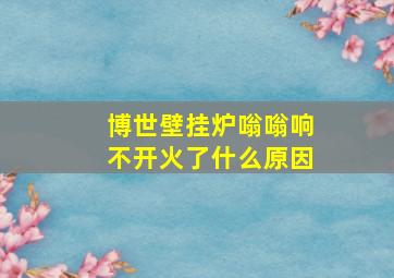 博世壁挂炉嗡嗡响不开火了什么原因