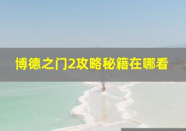 博德之门2攻略秘籍在哪看