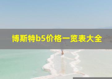 博斯特b5价格一览表大全