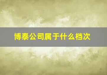 博泰公司属于什么档次