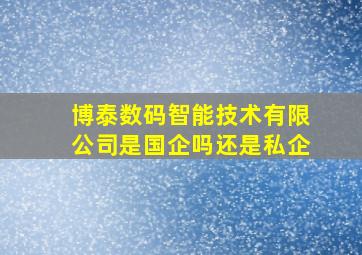 博泰数码智能技术有限公司是国企吗还是私企