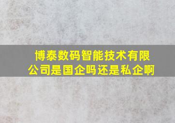 博泰数码智能技术有限公司是国企吗还是私企啊