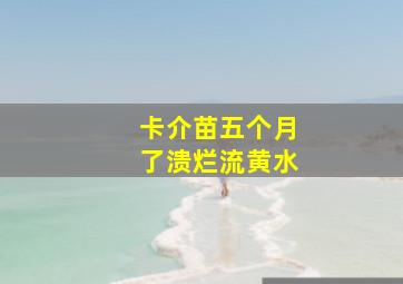 卡介苗五个月了溃烂流黄水