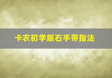 卡农初学版右手带指法