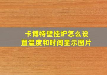 卡博特壁挂炉怎么设置温度和时间显示图片