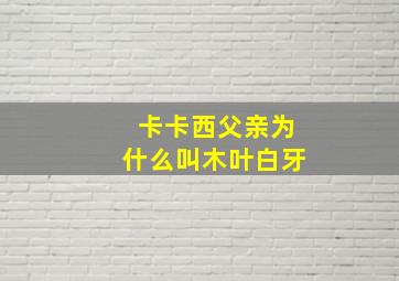 卡卡西父亲为什么叫木叶白牙