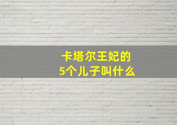 卡塔尔王妃的5个儿子叫什么